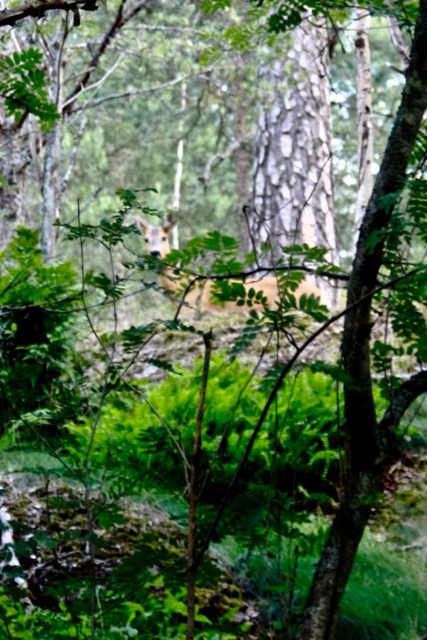 Bed&Breakfast In Nature 12 Min From City Free Bikes Stockholm Ngoại thất bức ảnh